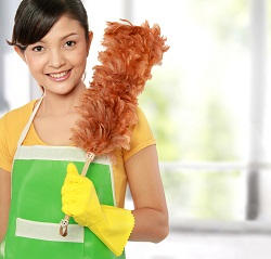 Amazing Domestic Cleaning Company in EN5