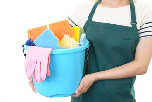 Carpet cleaning quotation discussion for a Barnet home