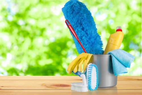 Professional one off cleaning service in a Barnet home