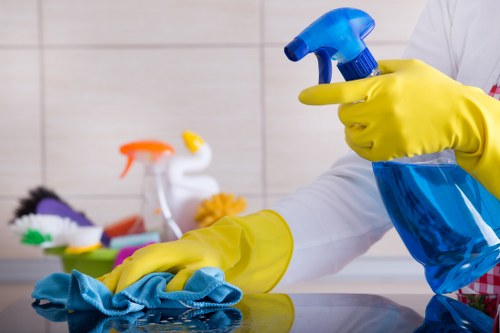 Local domestic cleaning service in Barnet for family homes and flats