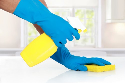 Regular cleaning service for a Barnet home interior