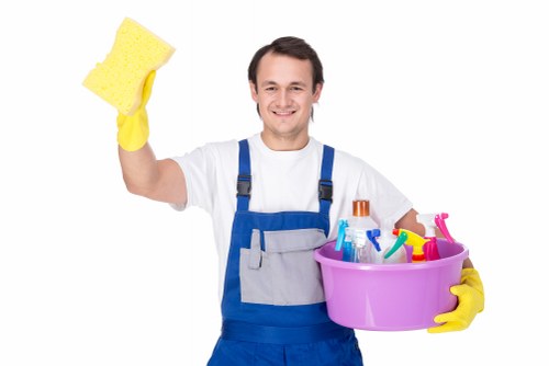 Domestic cleaning tools ready for a kitchen and bathroom clean