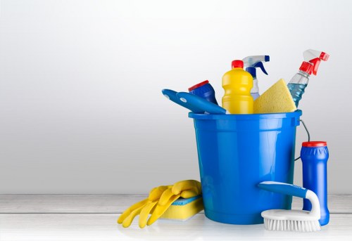 Deep cleaning process for pet urine stains in a Barnet property