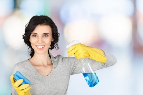 Cleaning products and tools arranged for safe carpet cleaning
