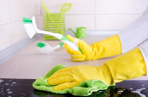 SSL protected Carpetcleaning Barnet payments area with bank transfer option