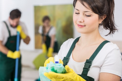 Professional sofa cleaning service for homes in Barnet