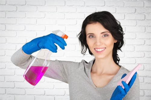 Professional carpet cleaning team following health and safety practices