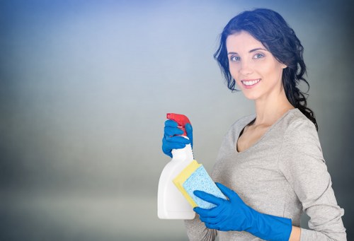Deep cleaning a mattress in a Barnet property